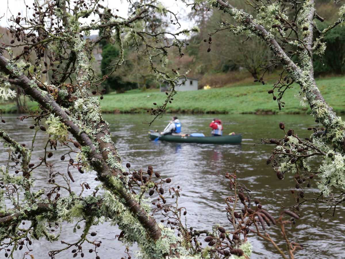 Visitors join the Tweed Valley Canoe Trail