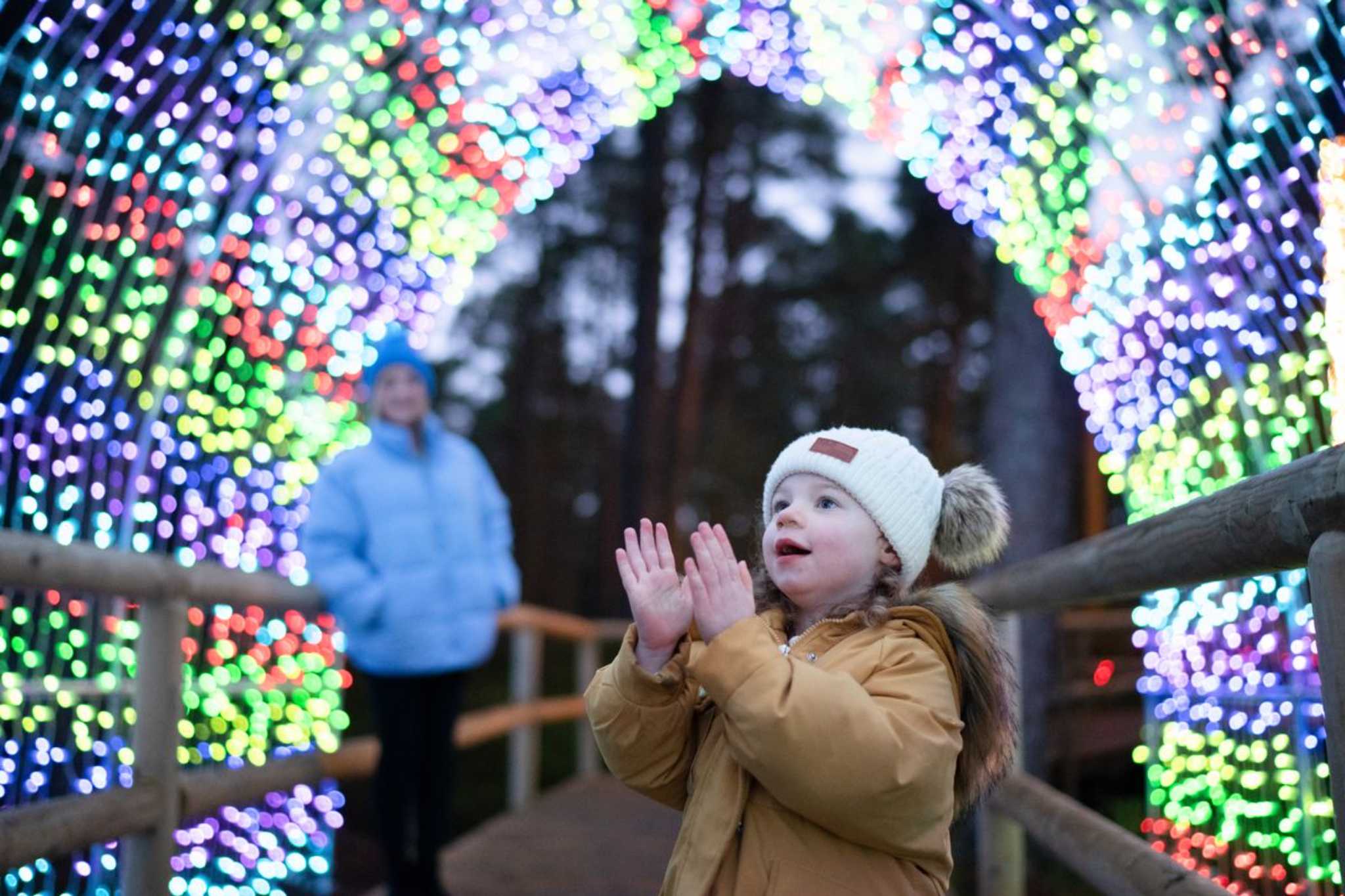 Visitors enjoying lights at forest