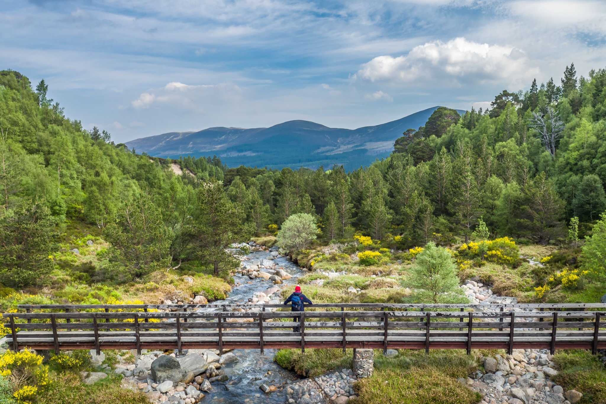 A man stands on a footbridge looking out over a river to forests and mountains