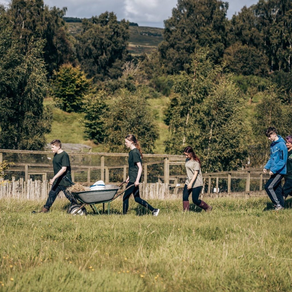 Visitors at Murton Farm, Tea Room and Nature Reserve