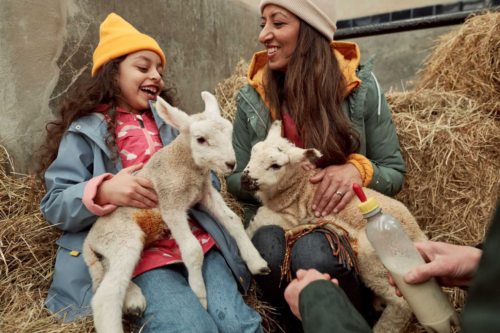 Family enjoying Solsgirth Home Farm