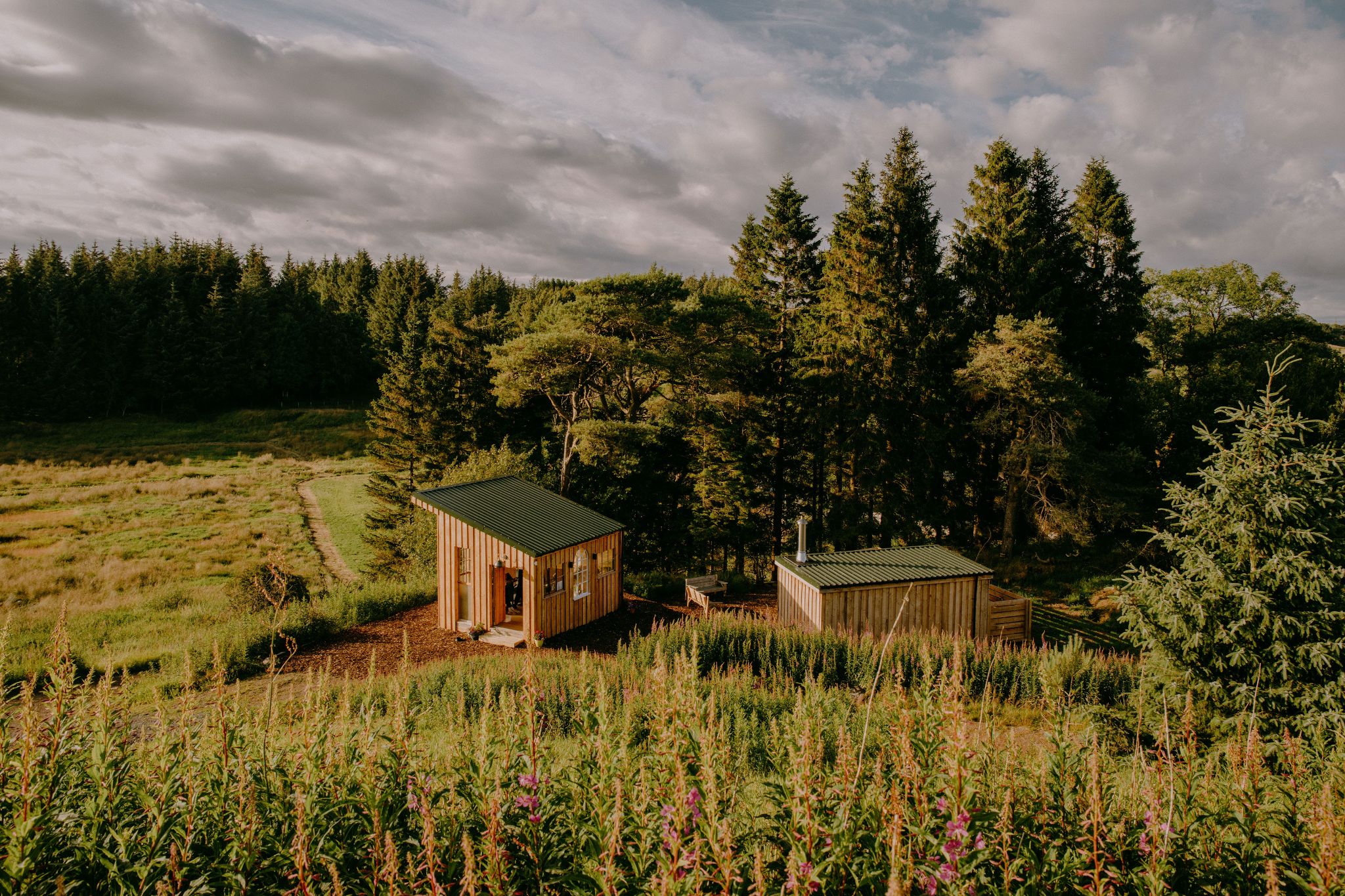 The natural landscape surrounding Eastwood Forest sauna.